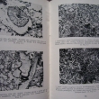 Zdravotnicko - protichemick� ochrana (1958), fotografick� p��loha.